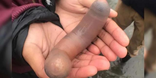 鱼类百科_爱钓鱼
