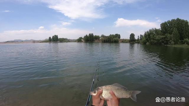 水草茂密,好钓点无法观察,就找这4个交汇处,轻轻松松钓到鱼_钓鱼技巧