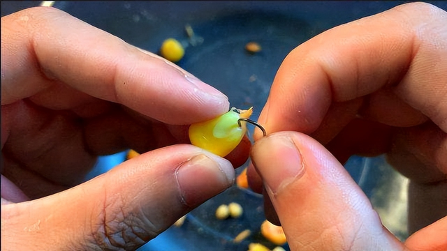 "素饵之王"玉米常用的挂钩方法,这些挂法的优缺点,你知道吗?