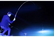 夜钓用灯好还是电子漂好？看看我怎么说，结局完全想不到