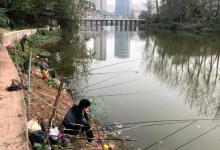 野钓用双竿就是玩不起？并不是，有时候双竿优势更明显