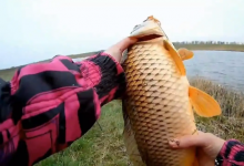 粗线钓鱼挡口，细线钓鱼总是断，那么我们该怎么钓？