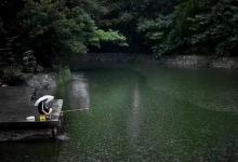 这3点原因影响雨后鱼情，别不信，这可能就是你钓不到鱼的原因