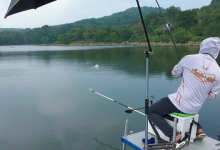 鱼儿停口不可怕，怕的是不开口，鱼儿停口后我们该怎么办？