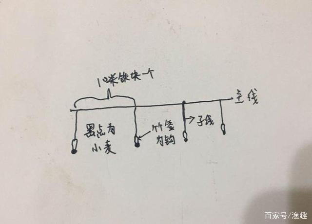 竹麦钓—有地方特色的民间钓法,主攻泥鳅兼钓攻击性鱼类