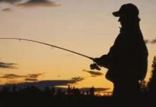 关于台钓钓鱼钓鱼时应该什么时候打窝最好