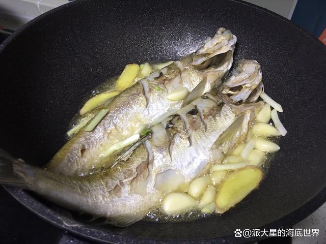 翘嘴鱼:世上本来没有"翘嘴",只因钓的人多了