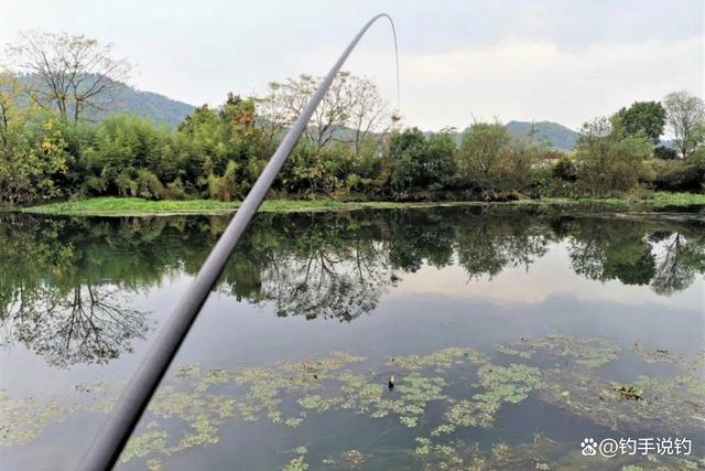 深秋钓鲫鱼应该"人找鱼",掌握传统钓技巧,咬钩的都是大板鲫_钓鱼技巧