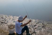 钓鱼如何防止散窝？4点注意事项，减少人为失误！