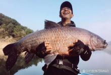 不同窝料钓青鱼的效果，看看哪种效果最好