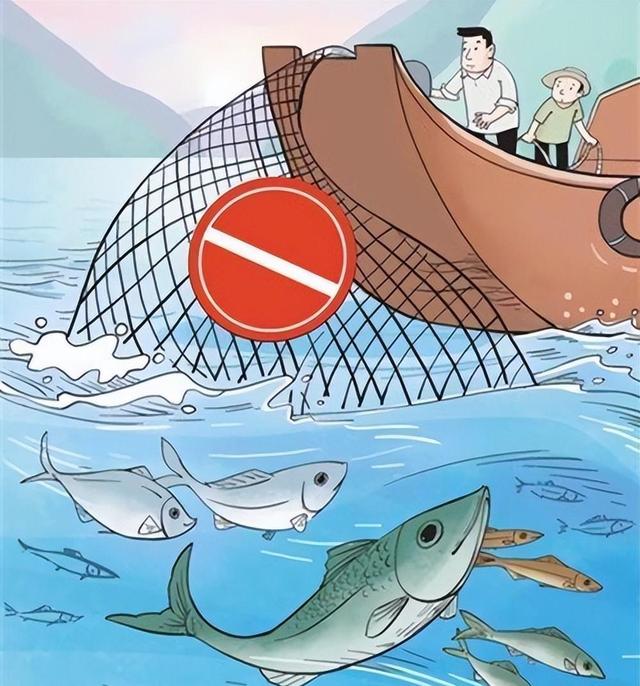 长江巨型鱤鱼暴食,禁渔十年为患?_鱼类百科_爱钓鱼