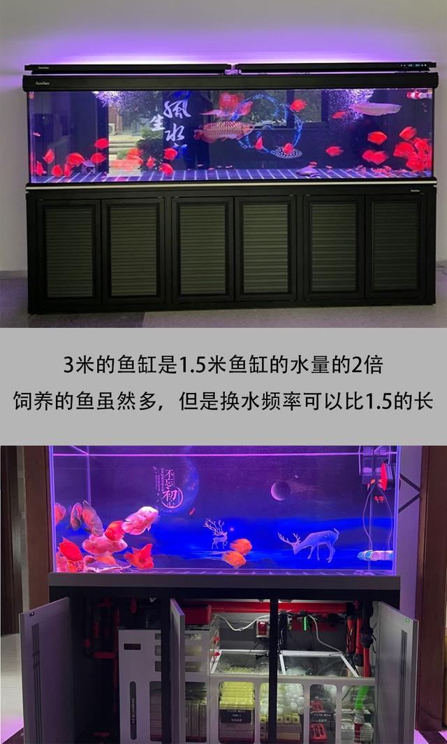鱼缸水多久换一次最好,鱼缸养鱼多久换一次水比较好_水族鱼缸_爱钓鱼