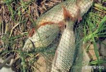 冬季钓鱼不想空军，学习高手开钓前的准备