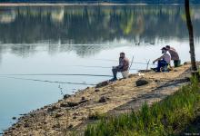 入秋以后，非常适合钓草鱼