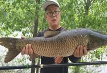 初秋钓草鱼的出行时机