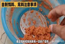 自制饵料、窝料，钓鱼更有针对性