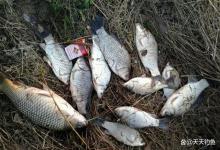 冬季野钓打窝绝技：半天不发窝不是天冷，是聚鱼方法不对