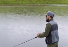 腥饵钓的都是小鲫鱼为什么？