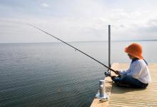 用酒糟打窝选用什么做钓饵？