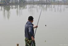 野钓用小黄面怎么开饵？