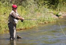 九一八野战蓝鲫速攻可以搭配什么腥味？