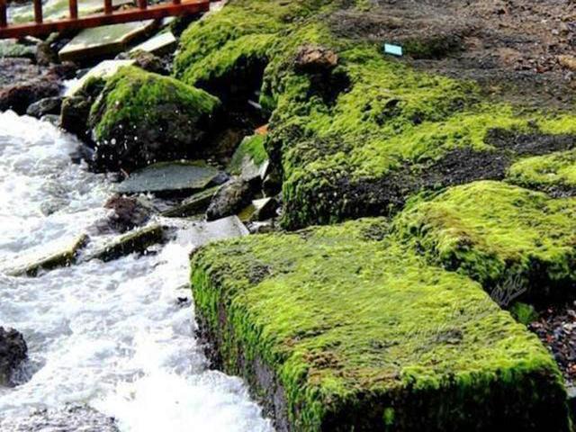 钓鱼时,这几样"东西"不仅影响渔获,一不小心就会损失惨重