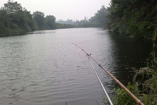 垂钓草鱼心得分享,喜欢钓草鱼的别错过,让你一次看个够_钓鱼知识_爱