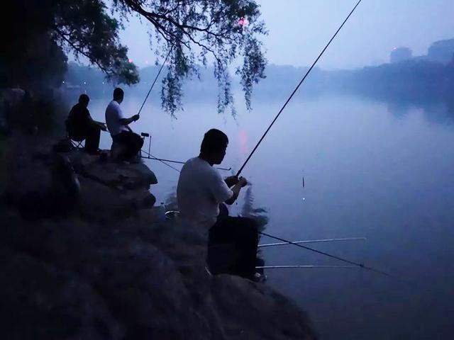 夜钓图片真实 实拍图片