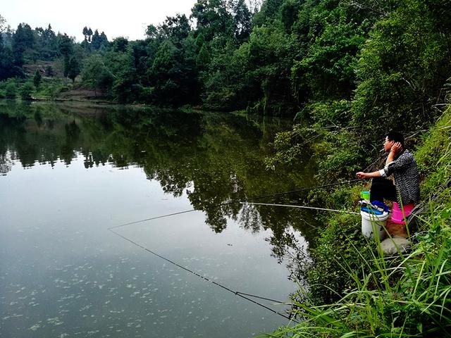 夏季外出钓鱼,早点知道这些事,少走弯路渔获多