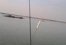 冬季锚到的鱼比正口多，多半是这些问题导致，一起来看看吧