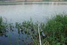 钓鱼上瘾的人，一般都具备这些“特征”