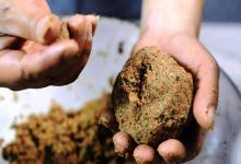 钓鱼时软饵、硬饵如何应用？它们有哪些区别？想了解的看这里