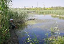 钓起一条鱼，有人说晦气，有人说吉利，钓友：直接放生