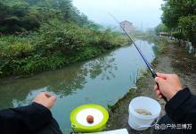 同样的位置钓鱼，今天和昨天，鱼获差距怎么这么大？