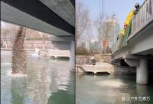 北京亮马河，疑似有人“放生”不明生物？细说：胡乱放生的危害