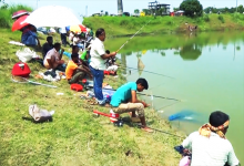 在印度，黑坑中看的人比钓鱼的人多，老板还能赚钱，全凭养鱼方式