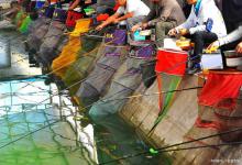 钓鱼能花多少钱？看完这些你就知道了