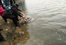 放生鱼前脚入水，钓友后脚下杆垂钓！垂钓者：我这是保护环境