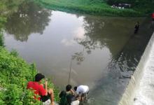 五人河边垂钓，渔具被收还罚款，只因钓鱼方式不正确