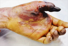 无知的钓鱼人，不想把手“扎成马蜂窝”，不要小瞧这6种鱼