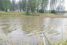 可视锚鱼方便了自己，坑苦了钓鱼人！大鱼都被钩死了，哪还有鱼钓