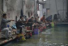 北方钓友看过来，早看完这套垂钓心得，对你冬钓黑坑帮助很大