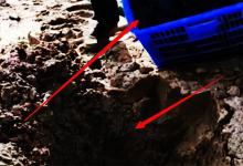 成框的“垃圾鱼”倒入土坑掩埋，老钓友：这3种处理方式比埋掉强