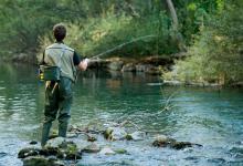 老钓友详解：甩大鞭钓法