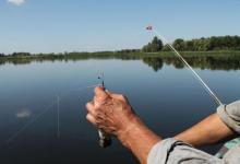 钓鱼时，如何选择深度