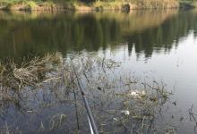 钓鱼突然停口，钓友莫慌！了解导致诱因，应对很容易