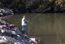 鲢鳙在水面上如何钓