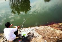 老钓友喝多了，说出自用十来年的添加剂配方