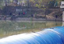 扎堆垂钓会有这些“隐患”，如果你想改善，建议吃“独食”