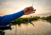 这些个话题，钓鱼圈争论多年，一直没有标准答案